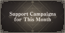 Support Campaigns in December